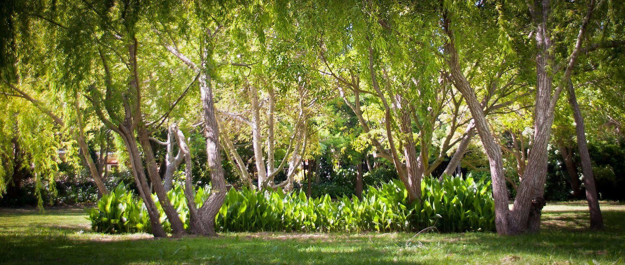 Willowbrook Country House Kapstaden Eksteriør billede